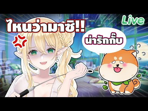 video thumb