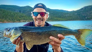 How To Catch Master Angler Walleye In Colorado’s Pristine Mountain Reservoirs