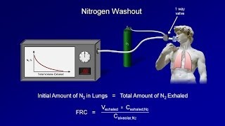 Pulmonary Function Tests (PFT): Lesson 3 - Lung Volumes