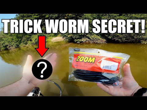 How to Fish this SECRET Zoom Trick Worm Rig to Catch BIG Bass! (Bass Fishing  Tips) 
