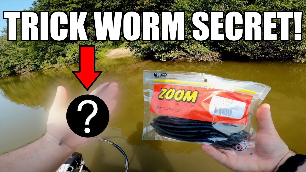 Nose hooked weightless trick worm - Fishing Tackle - Bass Fishing Forums