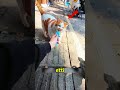 Fotoğrafçıya Poz Veren Kedi (Ödül Maması Şart!) 😹