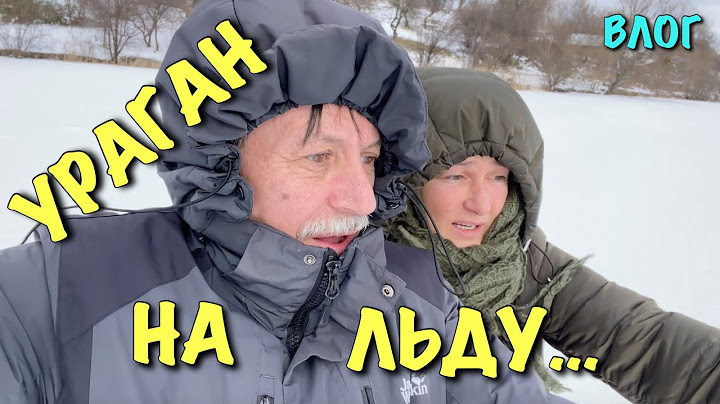 ДОМАШНЯЯ ЛИСА. УРАГАННЫЙ ВЕТЕР застал на ЛЬДУ.