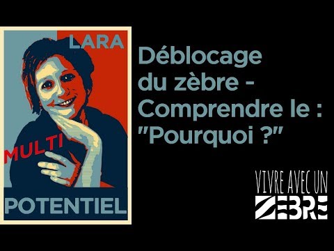 déblocage-du-zèbre-#1---comprendre-le-:-"pourquoi-?"