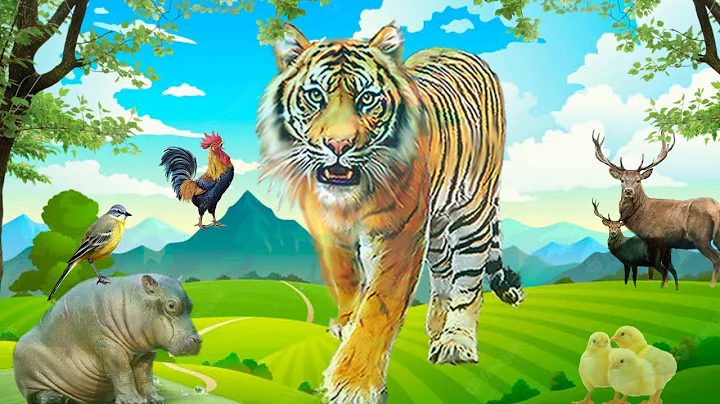 Video 4282181: farm animals, tiger, cat