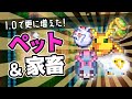 【1.0|Core Keeper】新たなペットに新スキル!?1.0で追加されたペットと家畜を手に入れよう【ゆっくり実況】