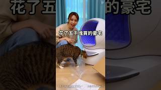 花五千塊買了豪宅給貓咪!但是... #神奇寵物系列