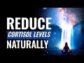 Reduce cortisol levels naturally  stress reduction music therapy  brain calming sound vibrations