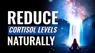 Reduce Cortisol Levels Naturally | Stress Reduction Music Therapy | Brain Calming Sound Vibrations screenshot 4