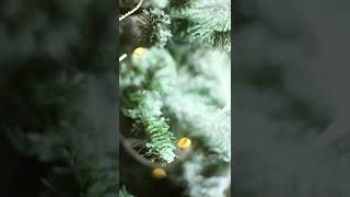 Watch Jackie Wilson It Came Upon A Midnight Clear video