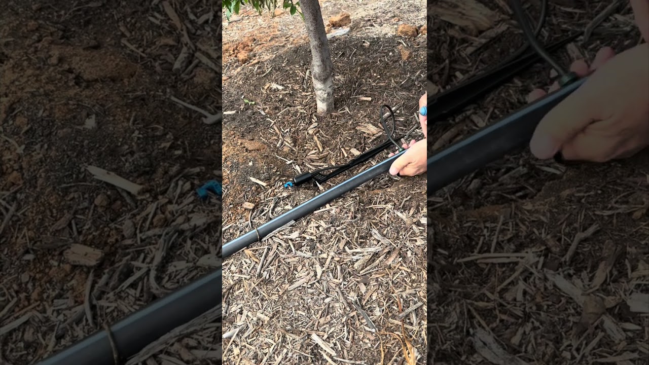 Here's what this irrigation system can do for your orchard #agriculture #farming #sprinklers
