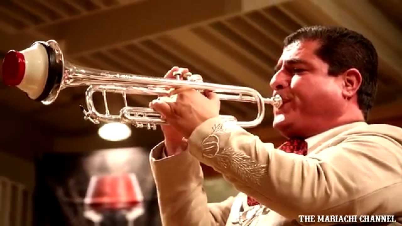 ECHAME A MI LA CULPA | MARIACHI NUEVO TECALITLAN | Video Oficial | Grabado en Vivo