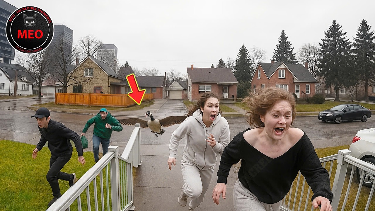 Incredible Moments Caught on Camera  (P138)