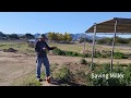 Saving miller how to control weeds without chemicals organic farming methods
