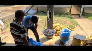 Das Wiegen Der Bohnen