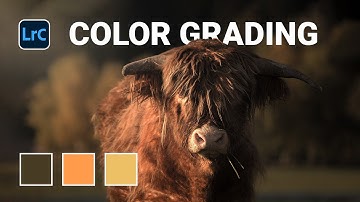 Dark Brown COLOR GRADING with Adobe Lightroom (Raw included)