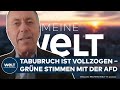 DEUTSCHLAND: Grüne stimmen mit AfD: „Der Tabubruch ist vollzogen“ | MEINUNG