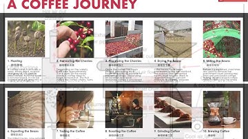 SCA Roasting Foundation - Part 2 - Sharing my old PowerPoint slides with content explanations.