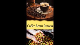Coffee beans to coffee process video  #shorts