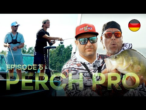 PERCH PRO 11 - Episode 5 (Deutsche version)