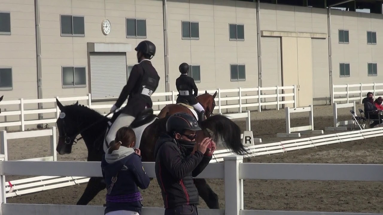 第92回関東学生馬術選手権大会 二回戦 部班馬術競技 ディアノ 川口慎太郎 Youtube