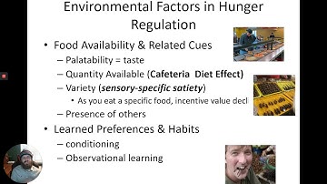 AP Psychology - Unit 7 - Hunger Motivation