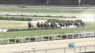 2012年4月28日 京都4R 障害未勝利 トレジャーハント