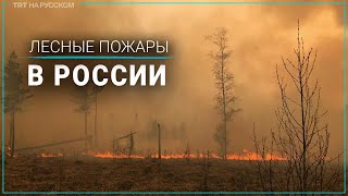 Пожары в Курганской, Тюменской и Свердловской областях: 7 человек погибли