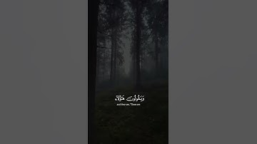 ويعبدون من دون الله ما لا يضرهم ولا ينفعهم ｜ سورة يونس ｜ القارئ عبدالرحمن مسعد #قرآن #دويتو #quran