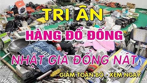 Bơm thụt bồn cầu giá bao nhiêu