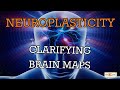 NeuroPlastic Nugget 7:  Clarifying Your Brain Maps