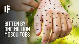 What If You Were Bitten by One Million Mosquitoes?