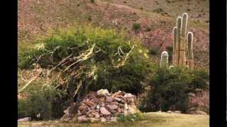 Clara y Hector- Hornaditas Argentina Jujuy-