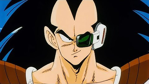 Dragon Ball Z Power Levels - Raditz Saga