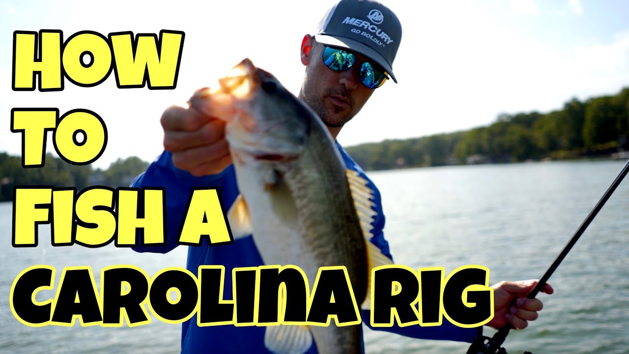 HOW TO FISH A CAROLINA RIG 