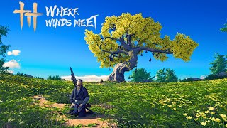Where Winds Meet - Character Creation & Gameplay [PC, 4K]