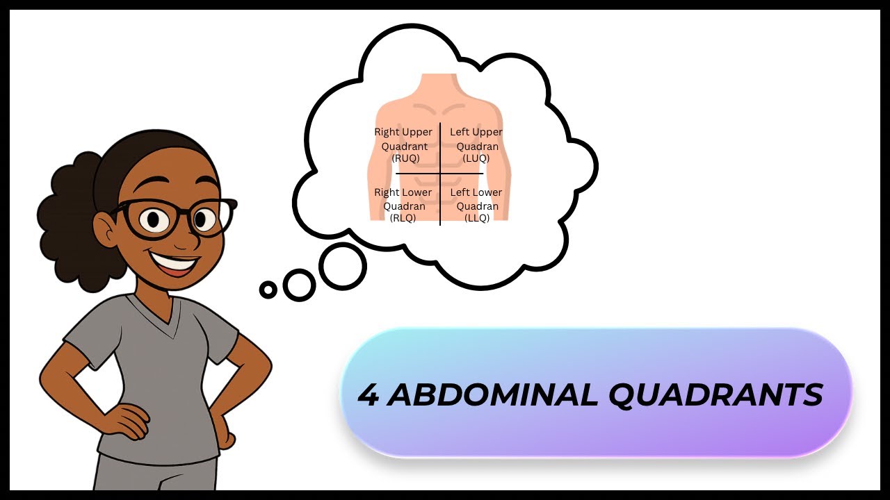 The 4 Abdominal Quadrants