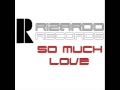 Melvin Reese feat Rachel Hawnt - So much love (Vince Moogin remix)