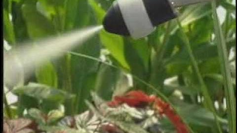 Electrostatic Spraying Demonstration