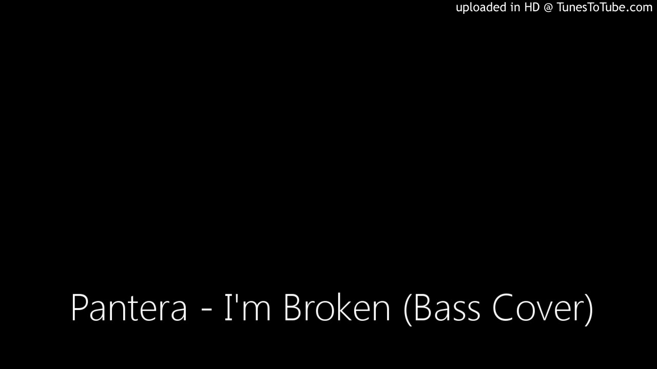 Pantera im broken video
