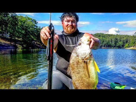 Arkansas Freshwater Spearfishing On Lake Ouachita - Found A BIG One! 