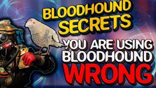 Bloodhound Real Wallhack: Secrets behind bloodhound passive ability not even pros know