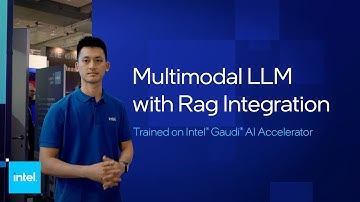 Multimodal LLM with RAG Integration - Trained on Intel® Gaudi® AI Accelerator | Intel
