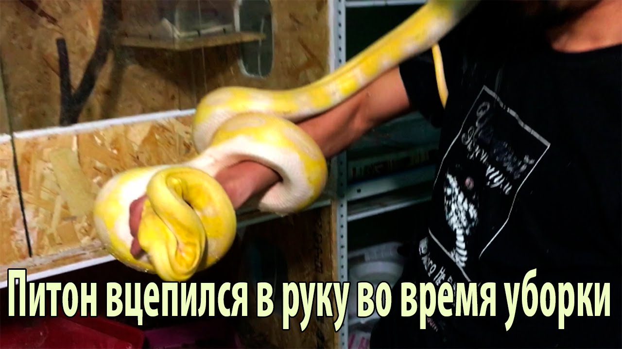 Жестокое изнасилование в машине Жестокое изнасилование в машине