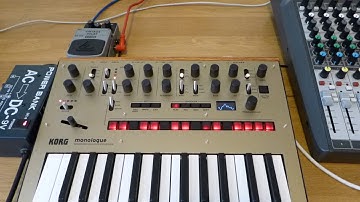 Korg Monologue & Behringer VD400 Vintage Delay