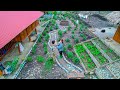 Sang vy a plant 200 plants de fleurs pour embellir le jardin soccuper des poules potager