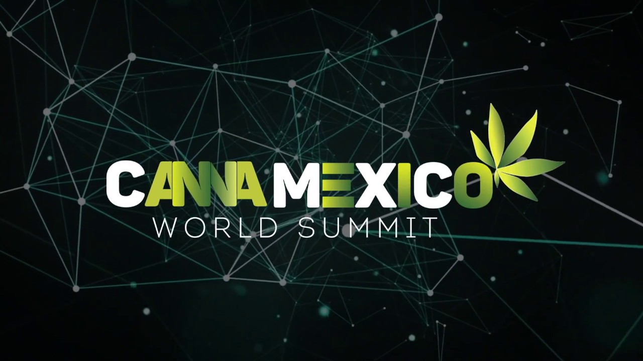 Vicente Fox comparte su experiencia y visión de CannaMexico presidente del salvador