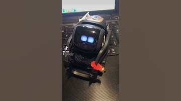 What is going on inside a Whiskey dev robot’s head?