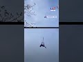 Italie : les images spectaculaires du sauvetage d'un cheval tombé dans un ravin｜TF1 INFO