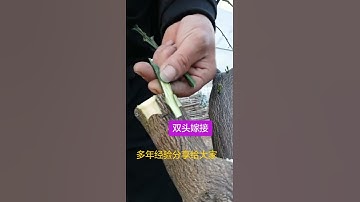 # Cảm ơn bạn chính thức # công nghệ nâng cấp # hướng dẫn nâng cấp